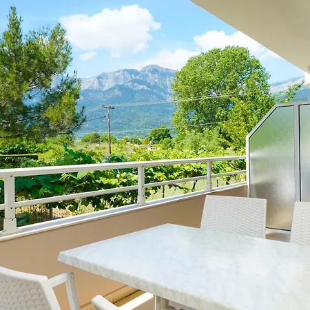 Elena Chrisi Ammoudia